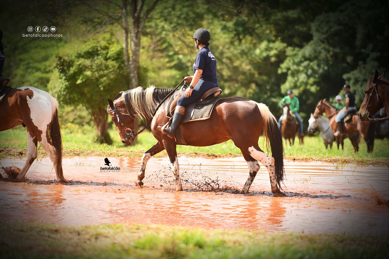 Participante a cavalo e outros conjuntos atravessam a água durante a prova de 2026